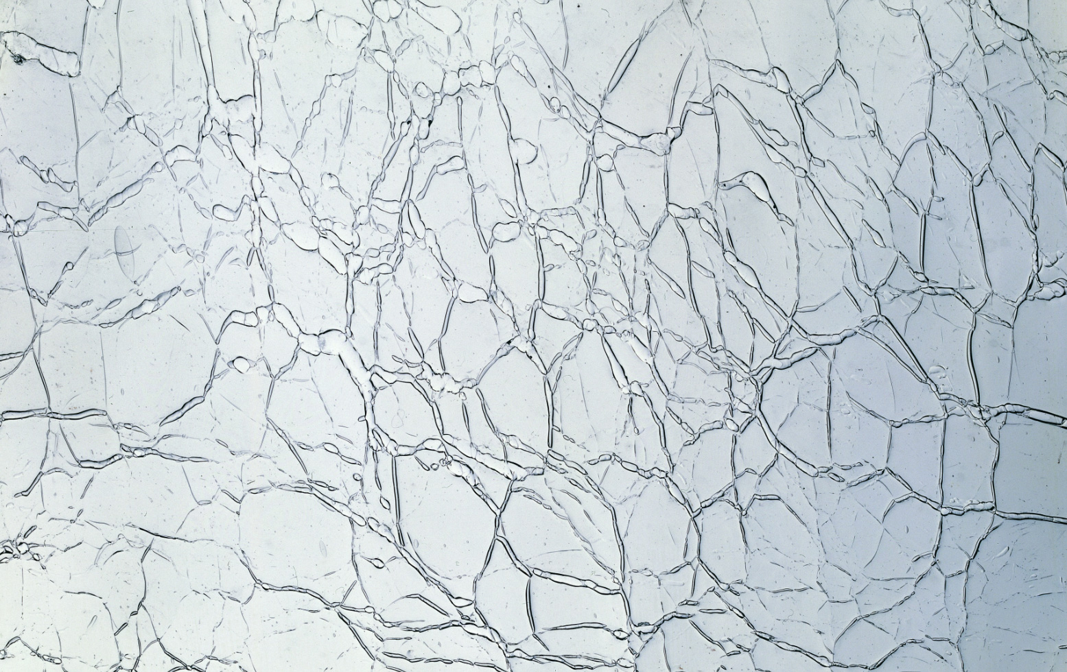 Crackled Glas die besondere Glasstruktur Lamberts Glas